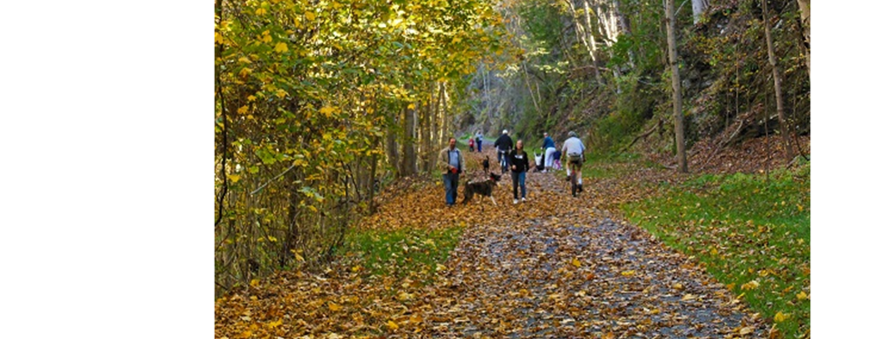 Jackson River Scenic Trail