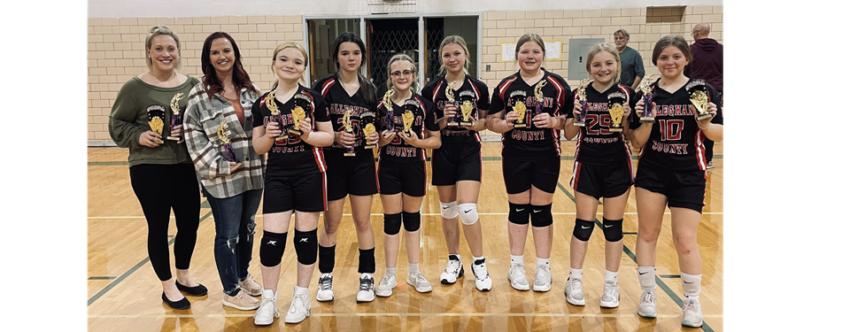 A League Volleyball 